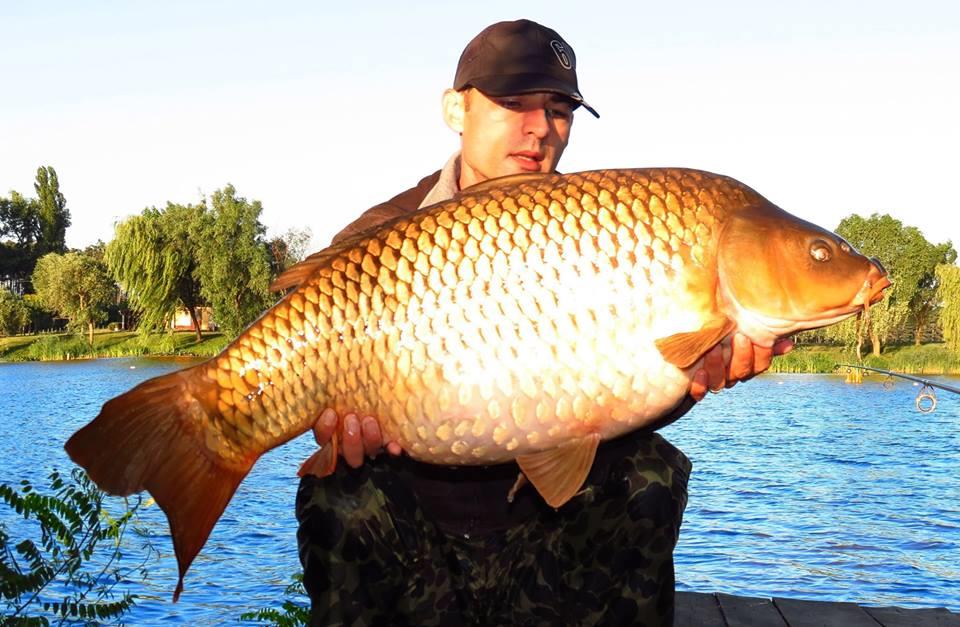 Palici - 002---img5340-1621-f.jpg